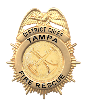 DISTRICT CHIEF - WALLET BADGE